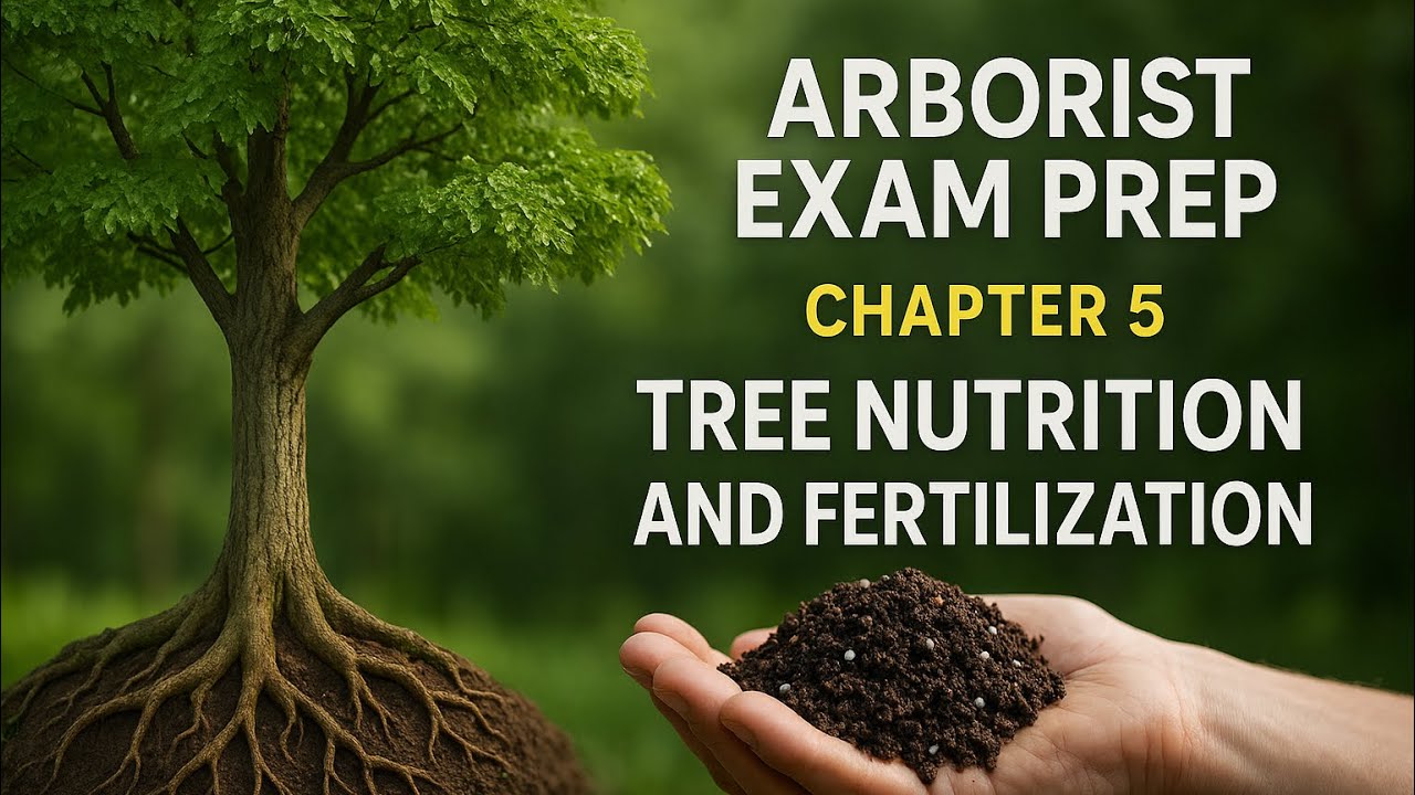 Arborist Exam Prep: Chapter 5 - Tree Nutrition & Fertilization