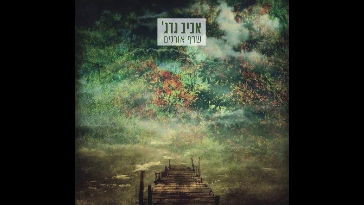 אביב גדג׳ - מוזיקה היא פצע