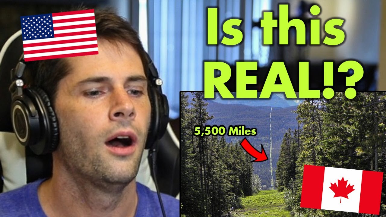 American Reacts to Canada and The United States' Border