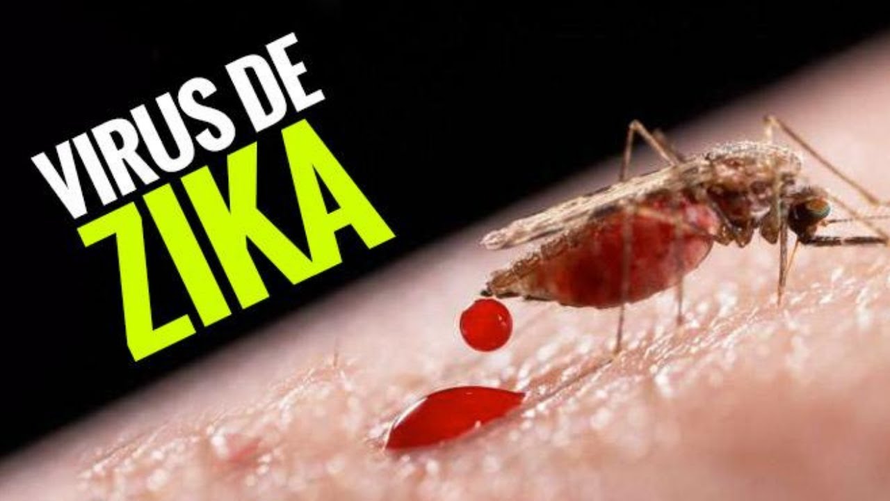 ¿Qué es el zika?: diagnóstico, síntomas, tratamiento y prevención