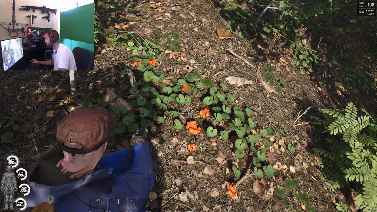 SCUM Vitamin D is found in the Orange Mushrooms