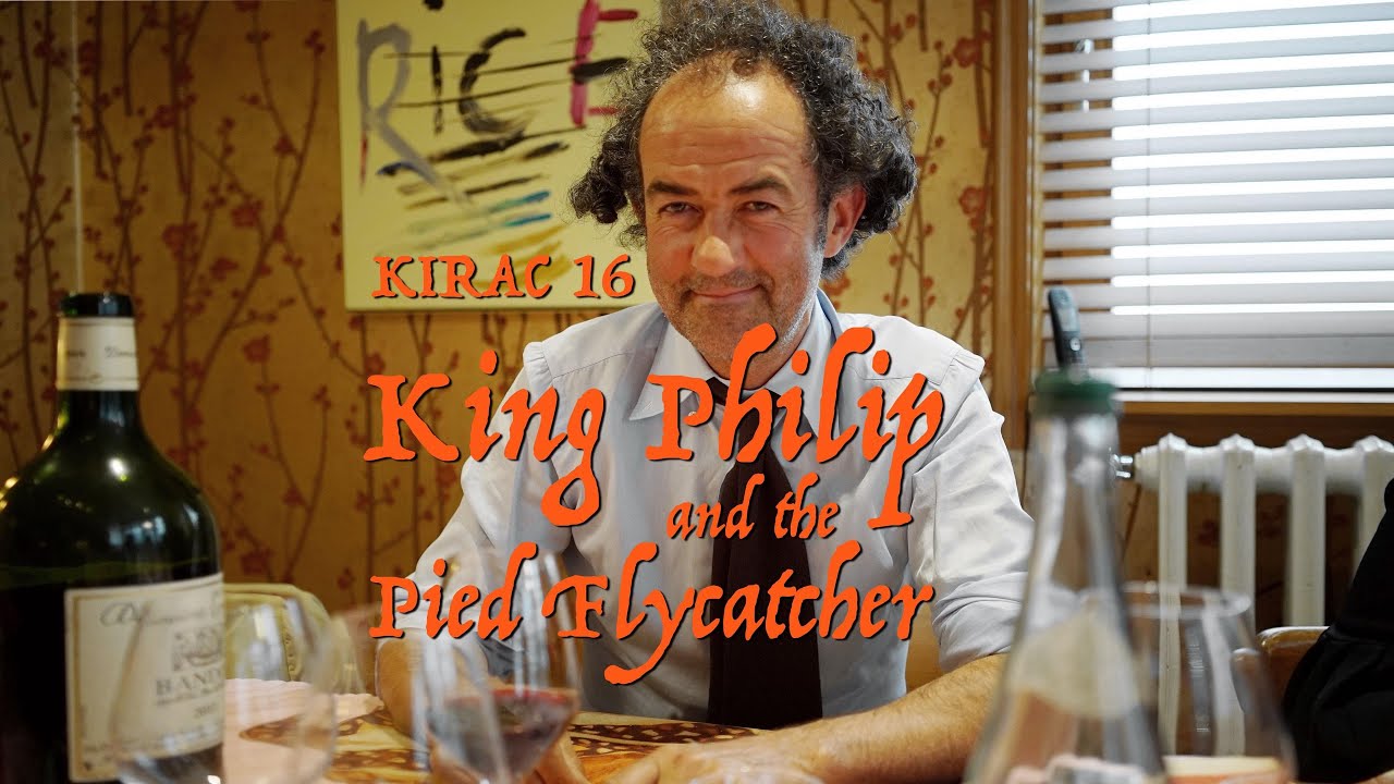 KIRAC episode 16 'King Philip and the Pied Flycatcher' (Only the first part, full film on Patreon)