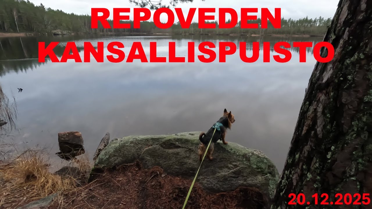 Ranen kanssa Repovedell&auml;. Repoveden kansallispuisto. Retkeily ja ulkoilu.