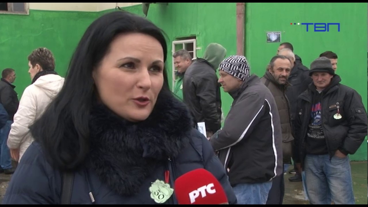 TV Pančevo - Izložba rasne živine u Skorenovcu