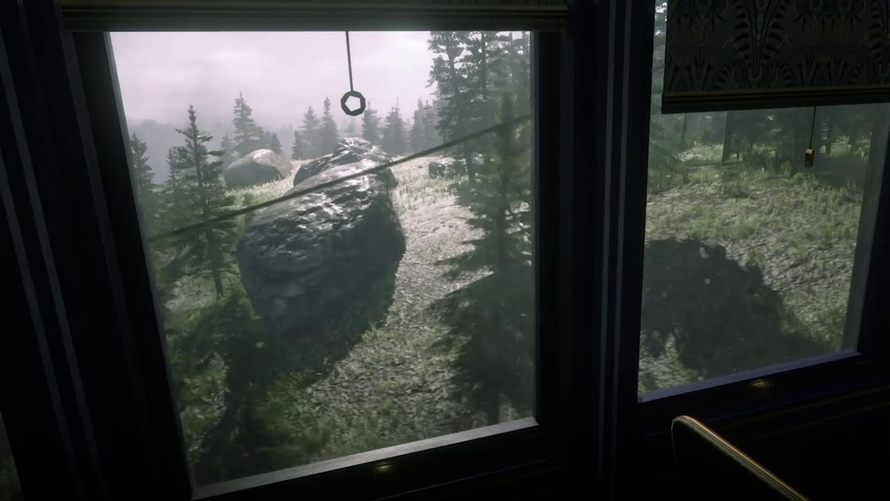 Red Dead Redemption 2 - Train Window Ambiance (white noise, train sounds, rain, birds)