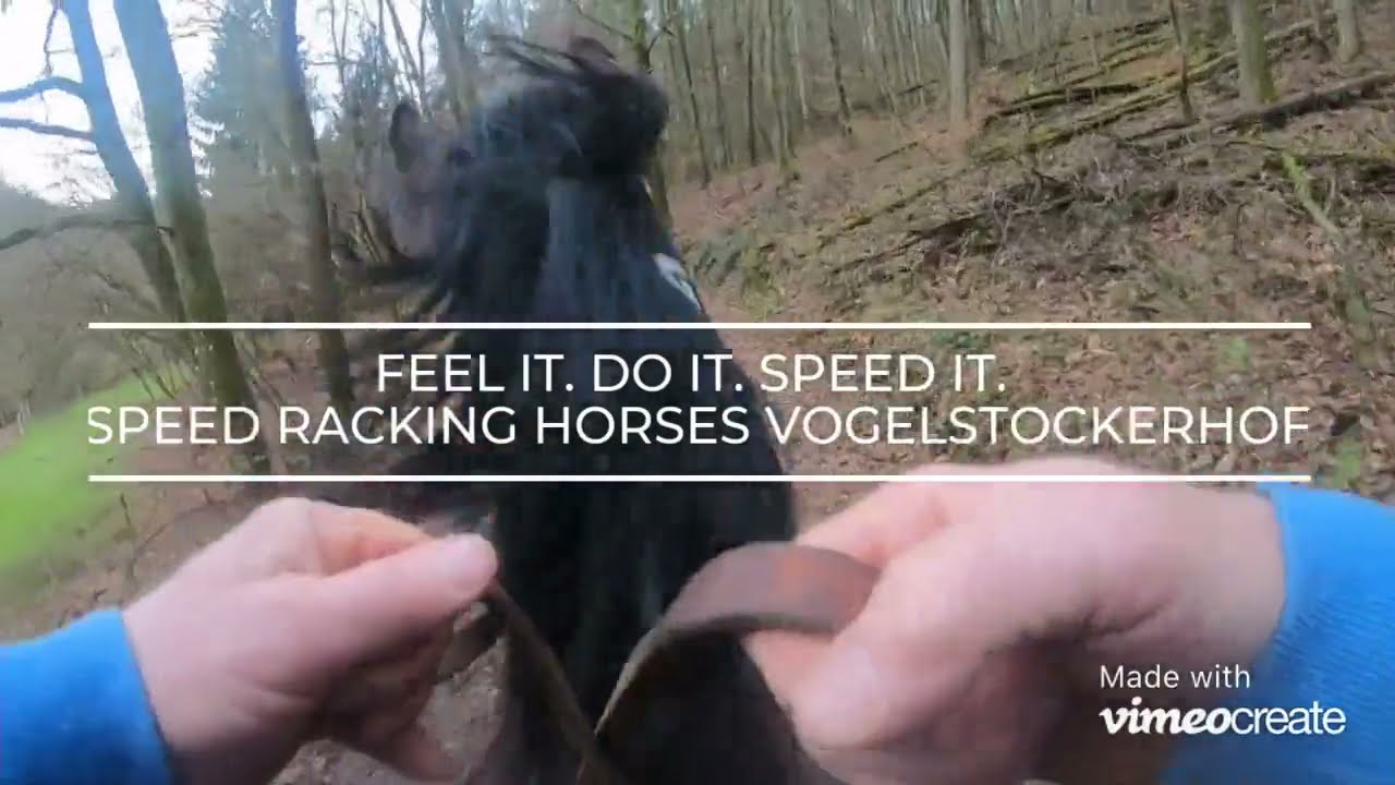 Feel IT. Do IT. Speed IT. - Speed Racking Horses Vogelstockerhof