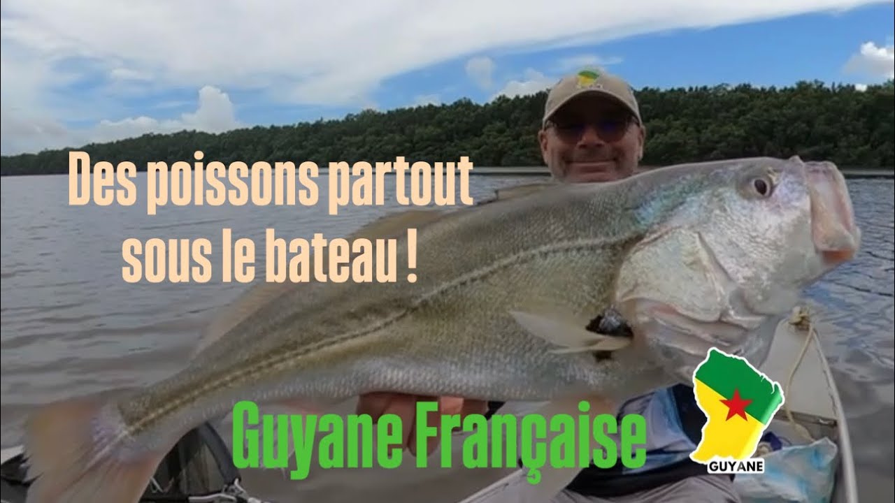 Pêche en Guyane.  Des poissons partout sous le bateau 😅🤙🏻🎣🇬🇫