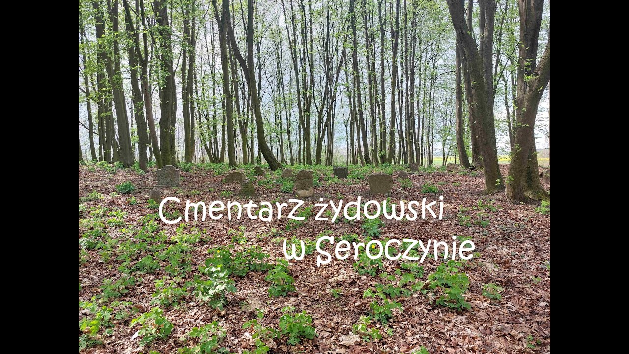 Okopy z września 1939 na cmentarzu żydowski - Seroczyn.