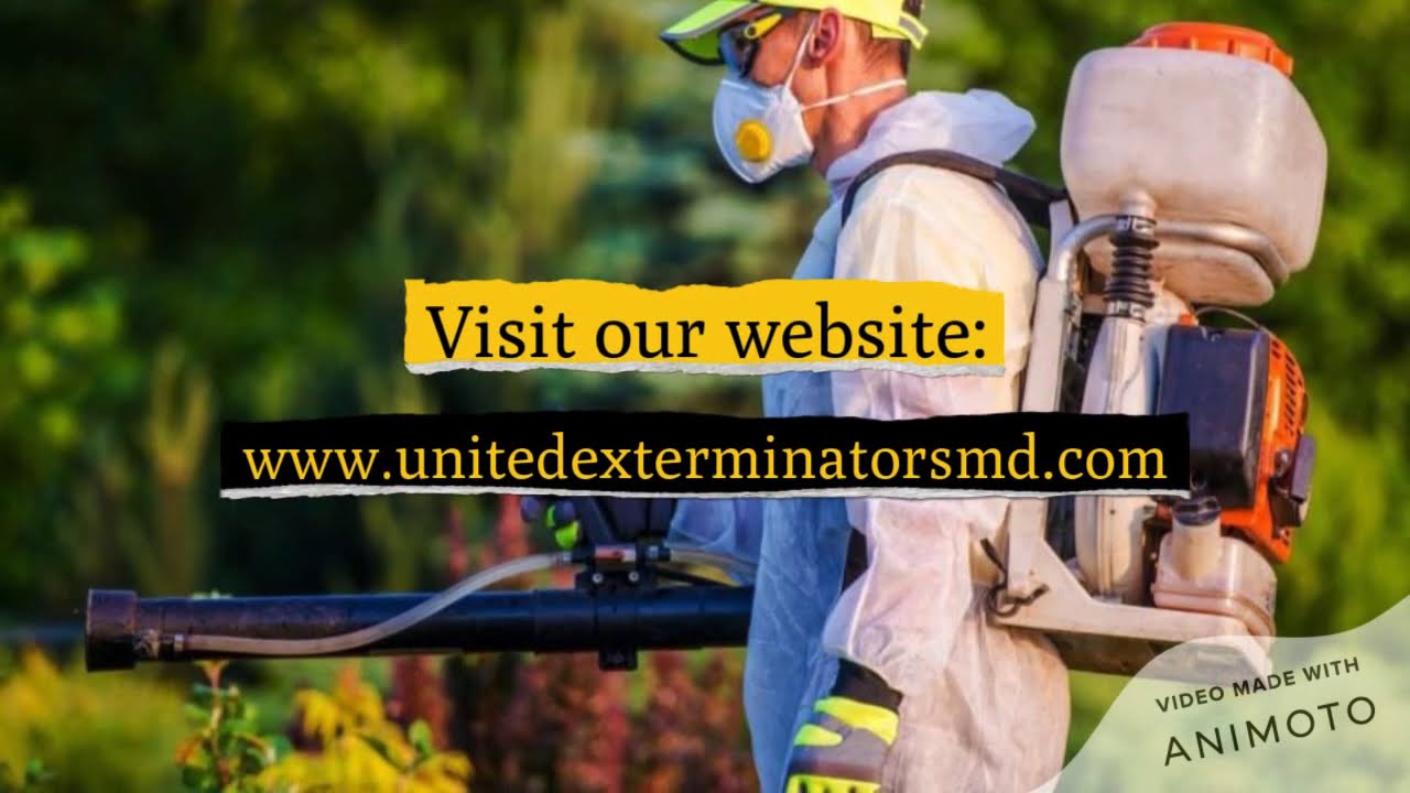 Pest Control in New Jersey | United Exterminators MD
