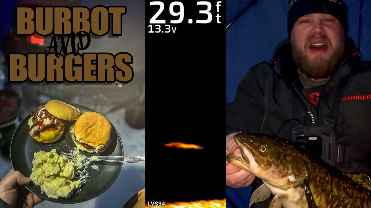 Ice fishing for burbot (eelpout) in central Minnesota