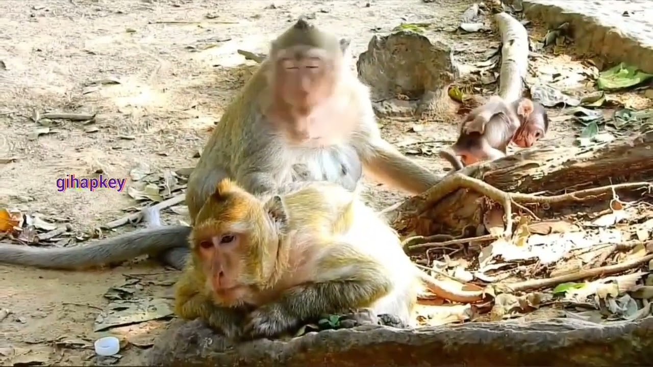 Tidak ada gagal!! Ibu tercantik memiliki pengalaman berbeda untuk mendidik anaknya