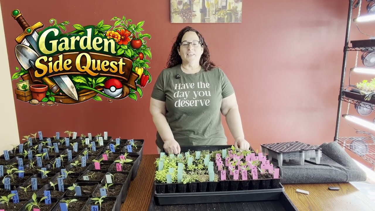 GardenSideQuest - The Very Hungry Caterpillary