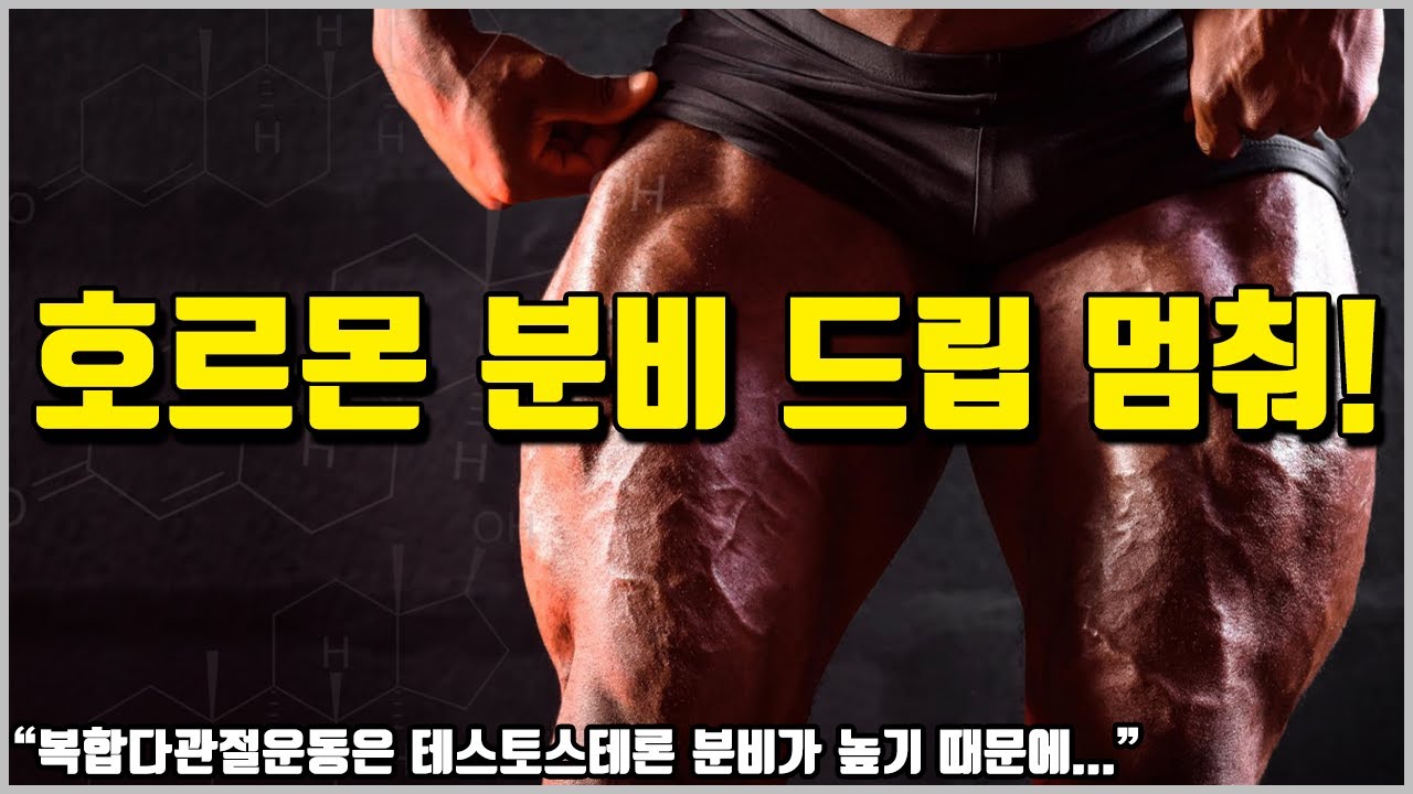 운동으로 분비된 호르몬의 실제 근성장 효과