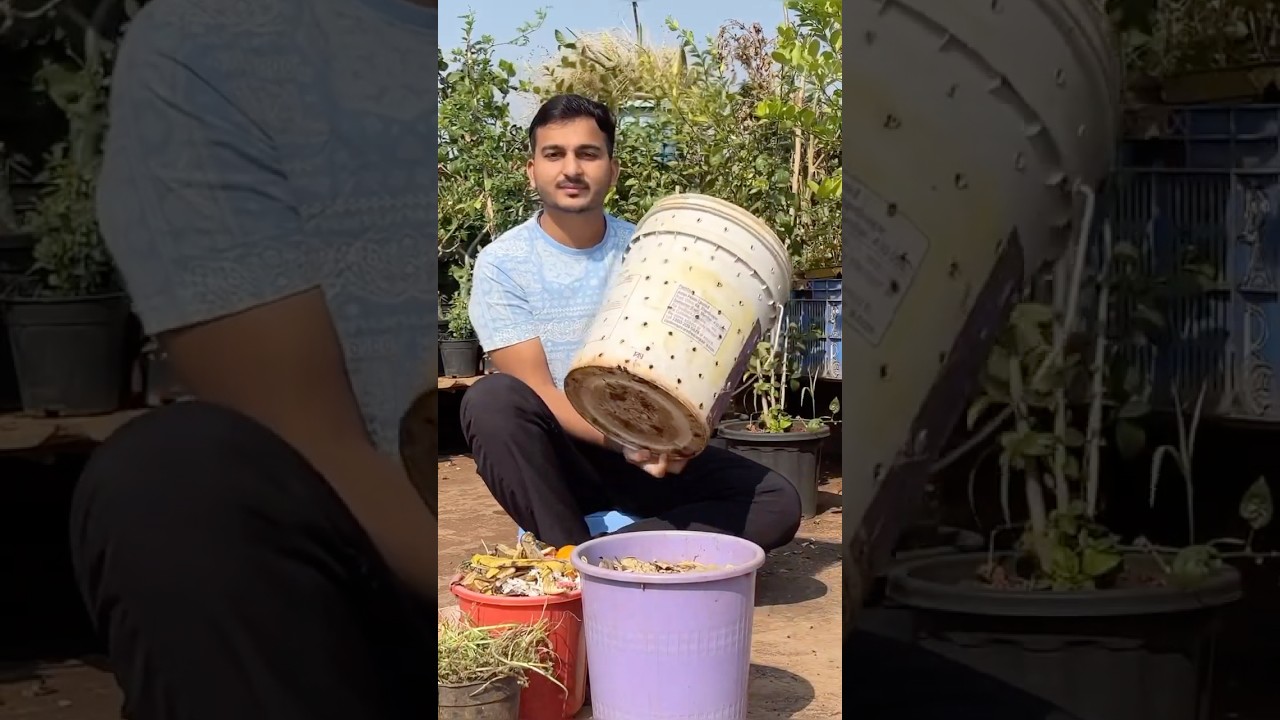 Kitchen waste compost #composting #garden #sustainability #sustainableliving #viralvideo #shorts