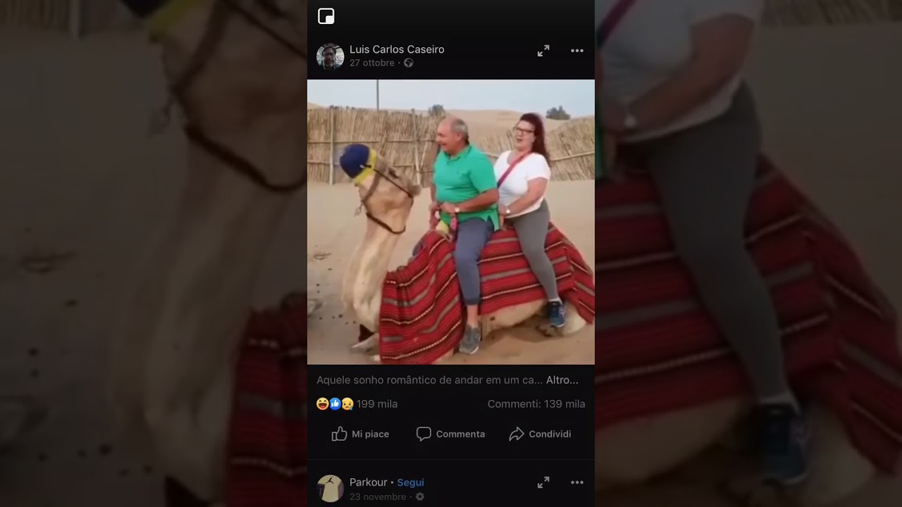 Due grassoni su un povero cammello