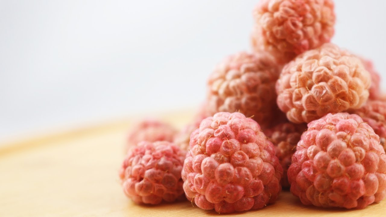 How to Dehydrate Raspberries!