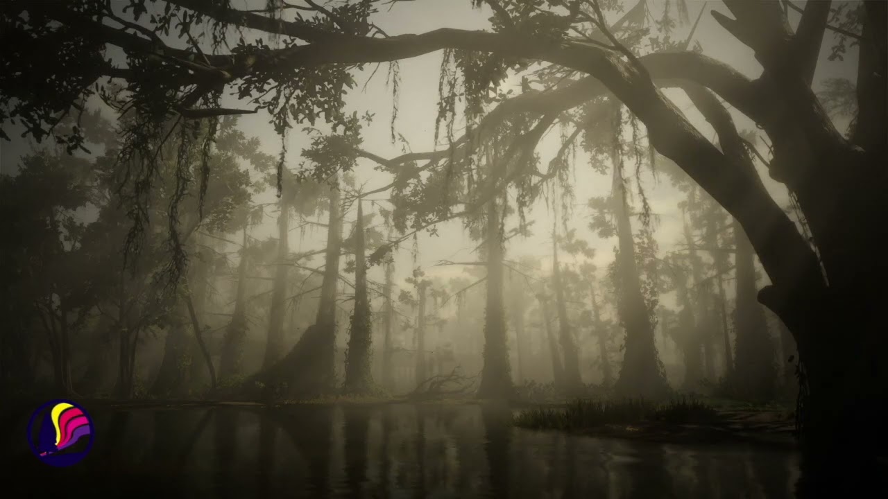 Bayou Swamp Ambience | Relaxing Mississippi Delta Sounds | Sleep, Focus, Chill | 10 Hours