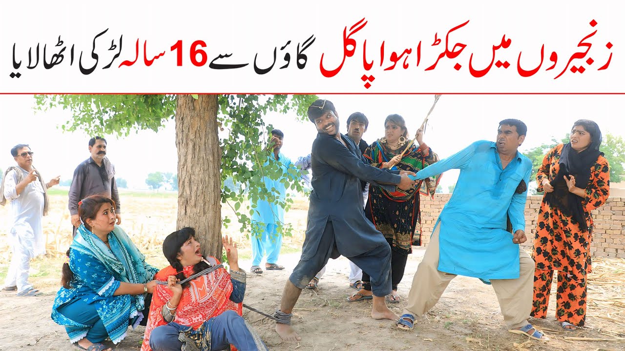 Pagal | Ramzi,Noori, Bilo ,Bhootna,Shoki, Sanam, Falak Sher,Funny Video  Rachnavi Tv