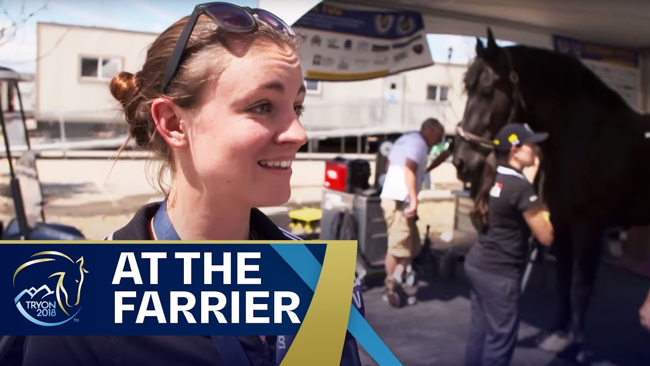 When a horse blews a shoe at #Tryon2018 - Nick at the Farrier |&nbsp;FEI World Equestrian Games 2018