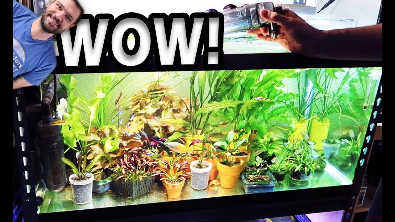 Fishroom Tour - Amazing Aquariums in a Reefer's House!