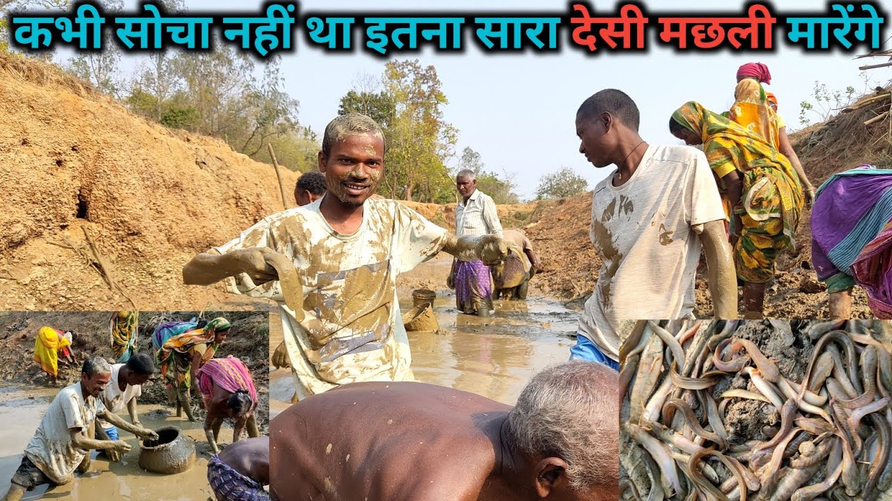 कभी सोचा नहीं था इतना सारा देसी मछली मारेंगे | पूरा एक महीना Fish करी खाएँगे | Junglelifestyle #vlog