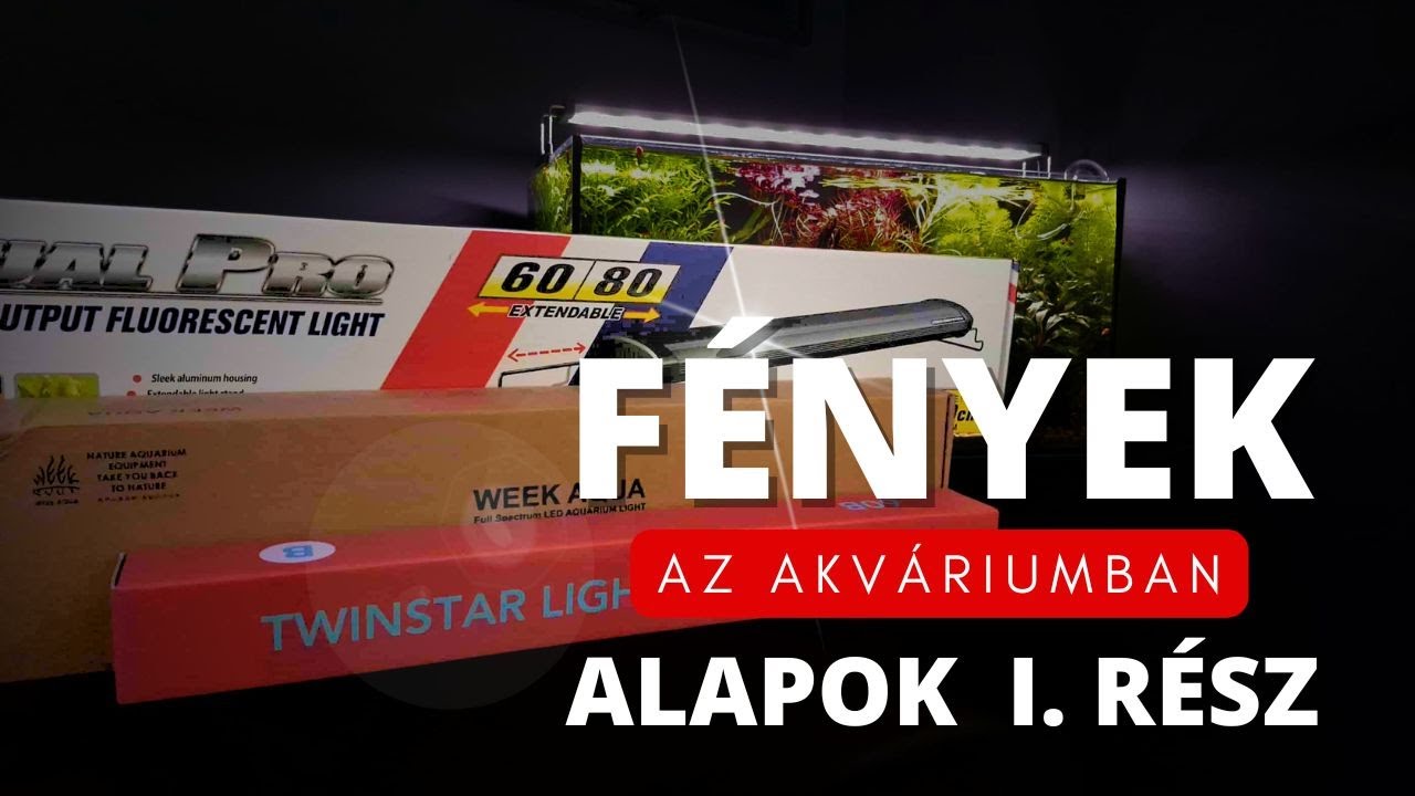 Az növényes akvárium megvilágításának alapjai - PAR, PUR, Lumen, Watt, spektrum