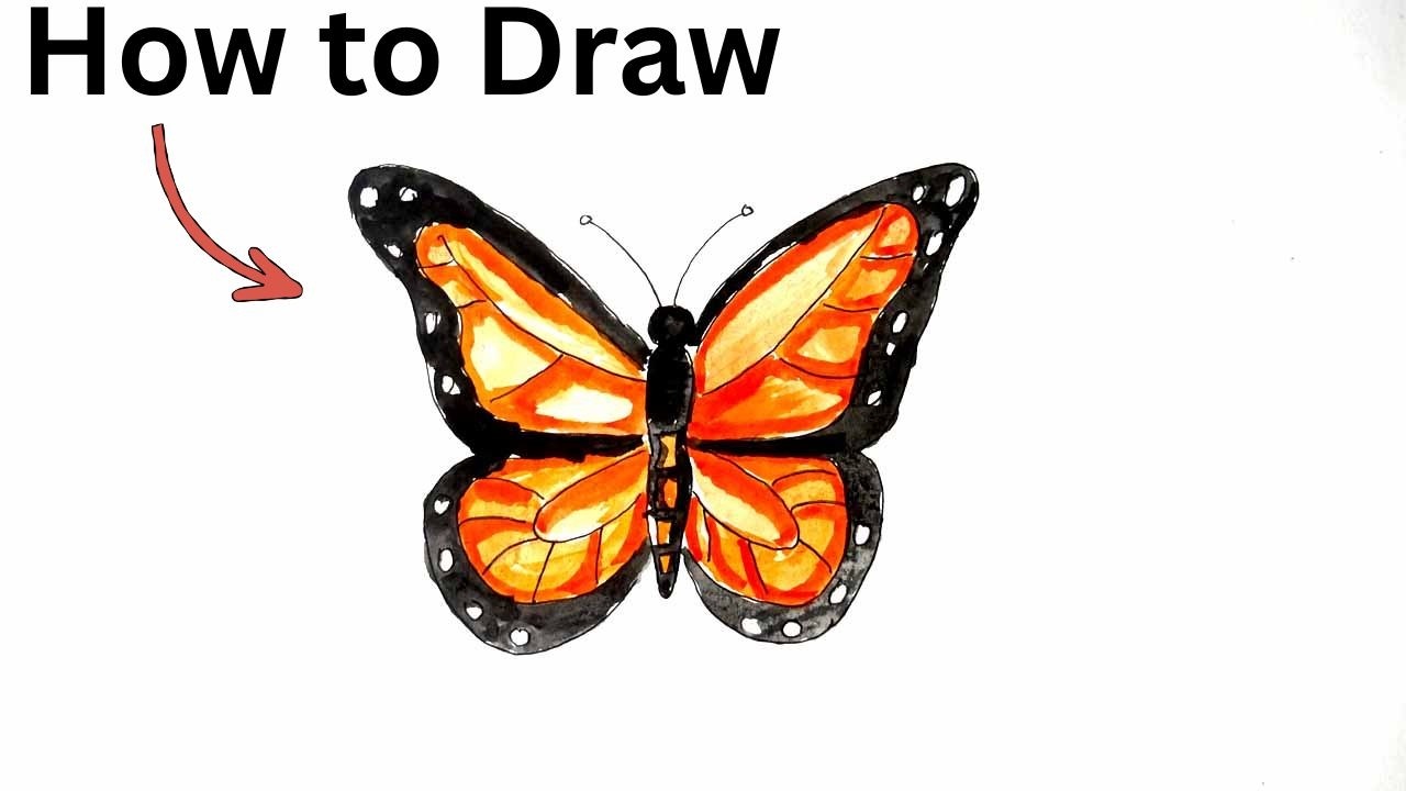 Monarch butterfly drawing easy step by step 🦋2026  #butterfly #howtodraw