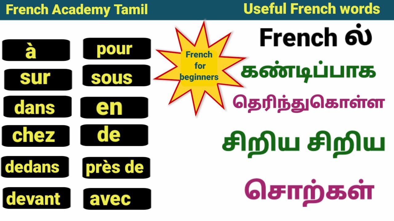Daily use French words and sentences/French Through Tamil/தமிழ் மூலம் French