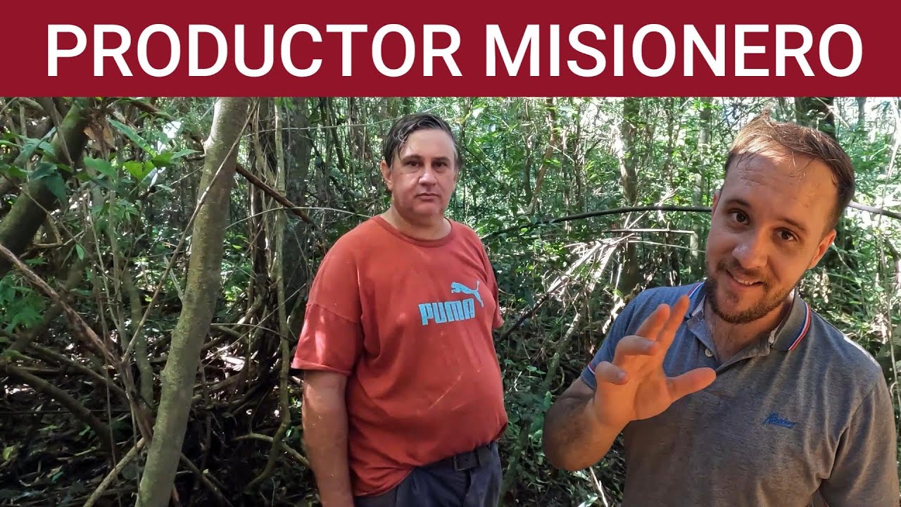 Como los AGRICULTORES pelean contra el cambio climático en Misiones Argentina