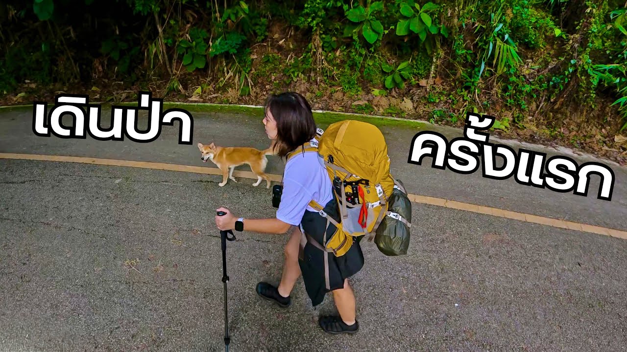 เดินป่าครั้งแรกที่ขุนตาล มือใหม่เดินได้แต่ไม่ง่าย! | Backpacking