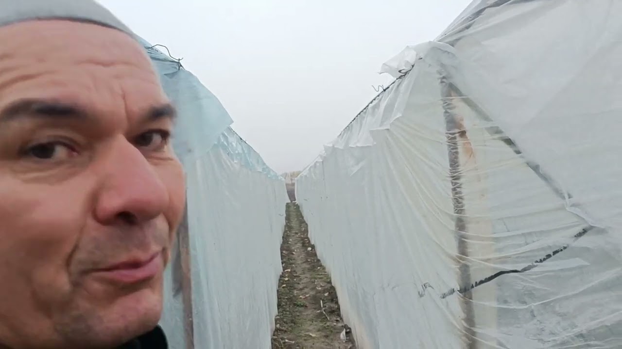 1 декабря 2023 г.