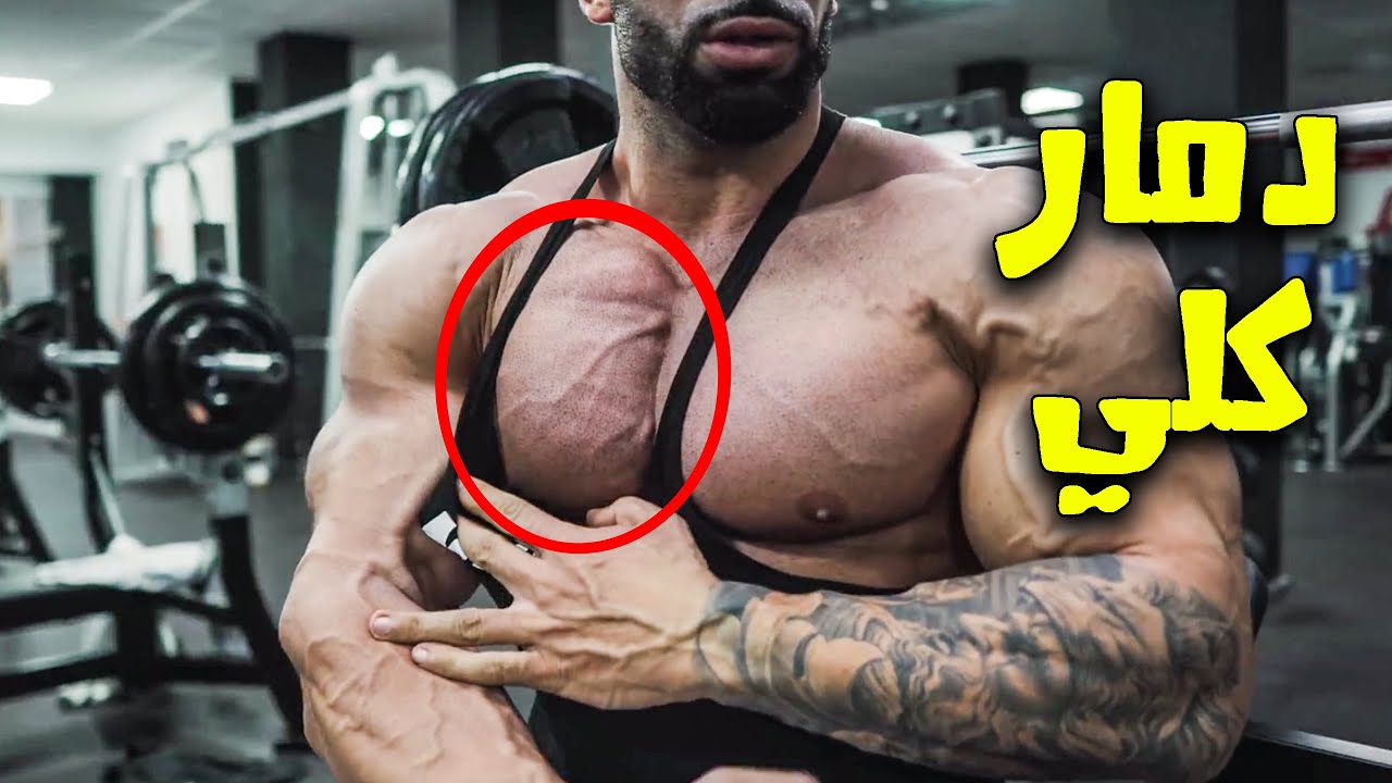 برنامج اسطوري لتضخيم الصدر من كل الزوايا | لن تحتاج سوى هذه التمارين