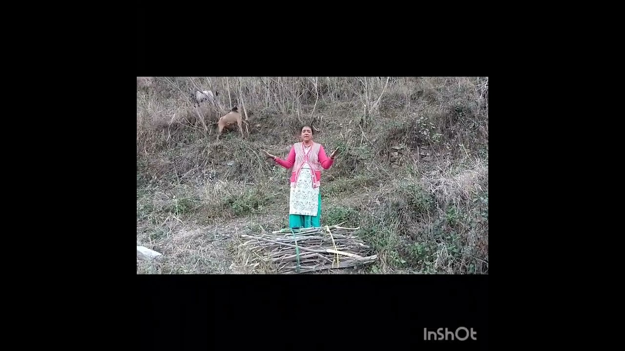 हम जा रहे हैं अपने गांव की सारी देव भूमि उतरा खंड मेरो पहाड