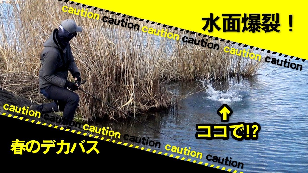 春のデカバスはコレで決まり！ バス釣り オカッパリ 琵琶湖