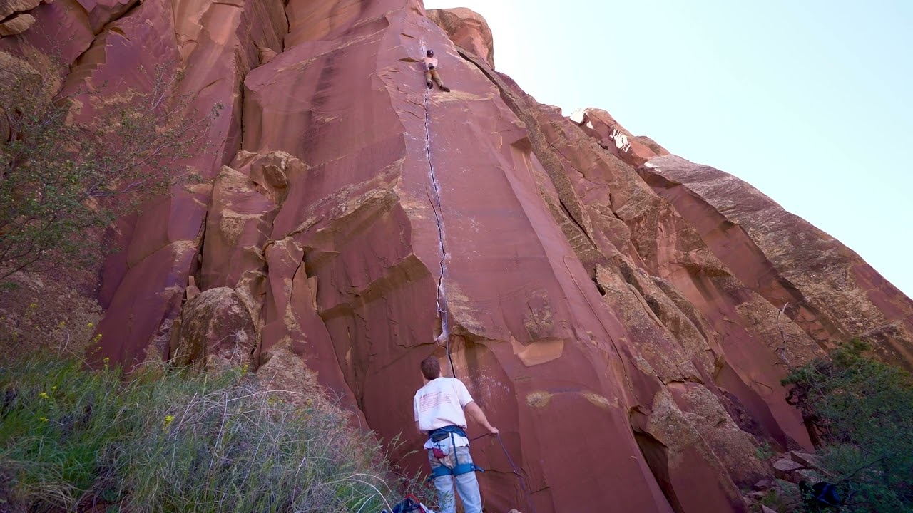 Pat’s Blue Ribbon | Indian Creek