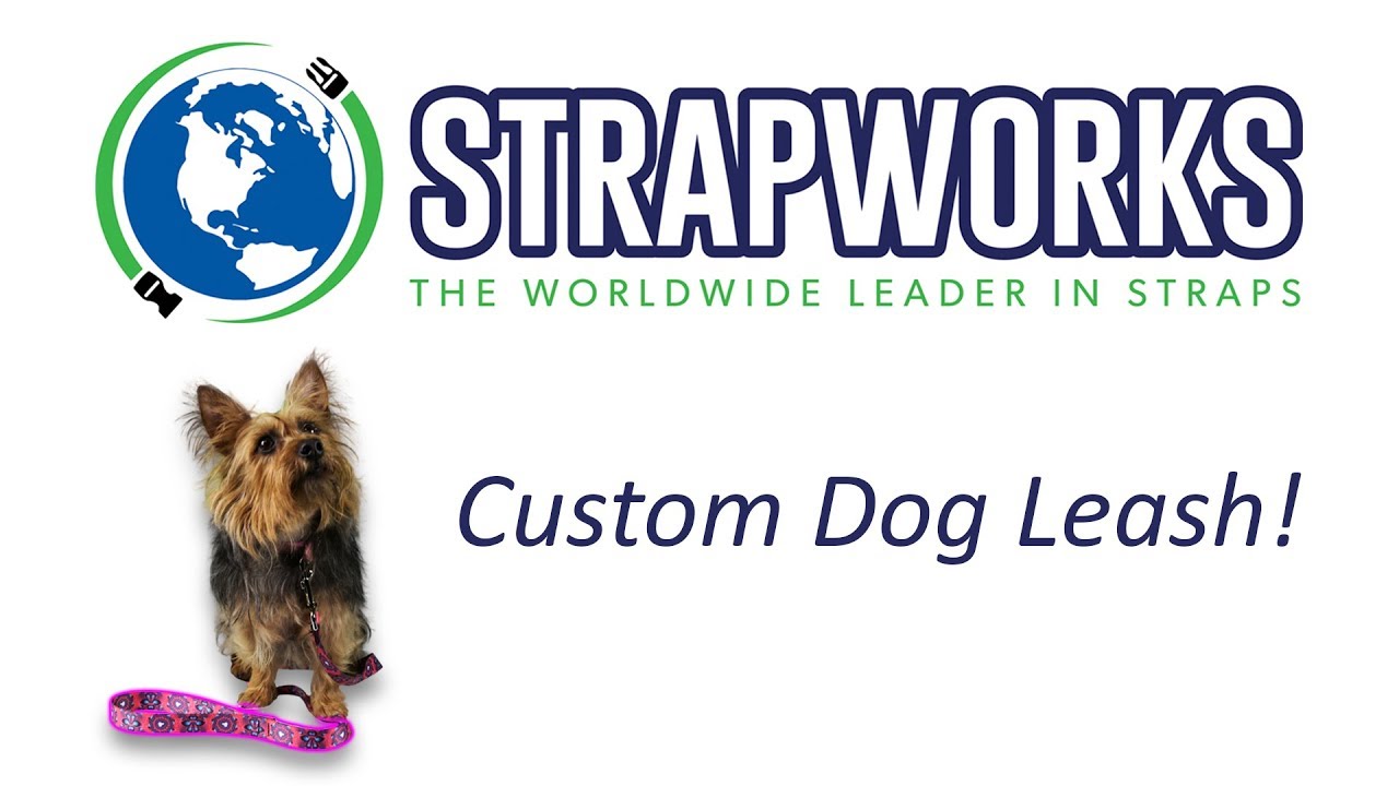 Home Sew DIY Custom Dog Leash! 4 Steps: Quick and Easy
