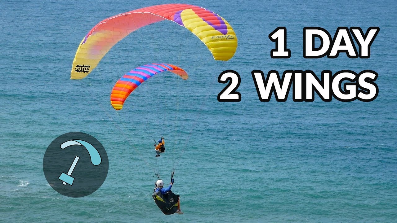 Mini Wing or FULL SIZE?? - BANDARRA