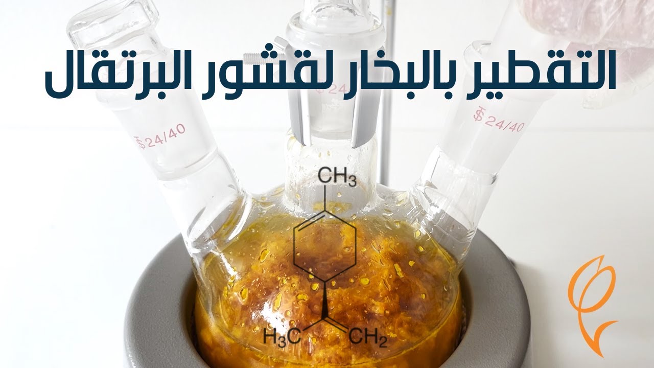 التقطير بالبخار لقشور البرتقال ( استخلاص جزيء الليمونين) Orange Hydro Distillation