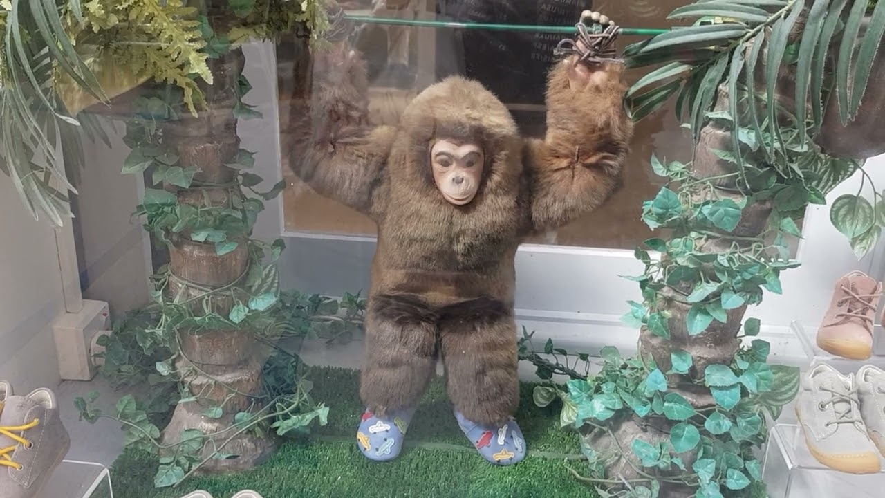 24 years later and yet, Stompers' mascot 