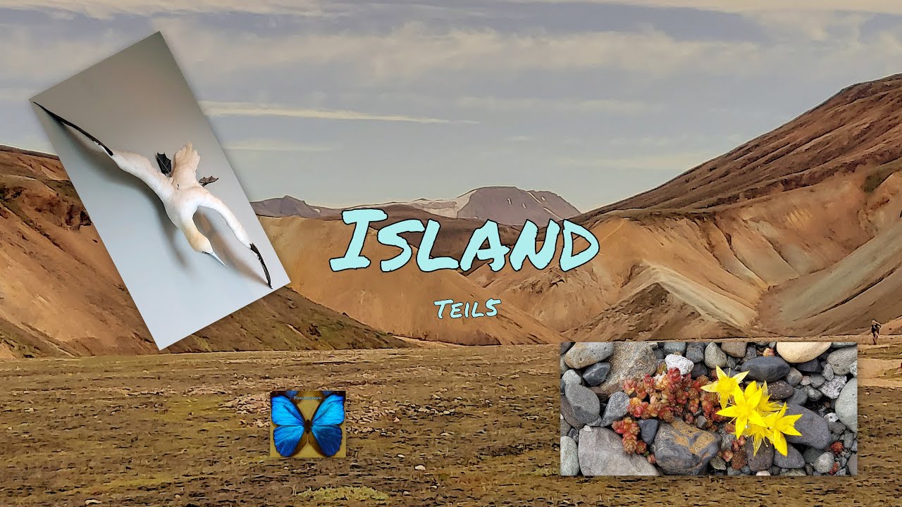 Island Teil 5