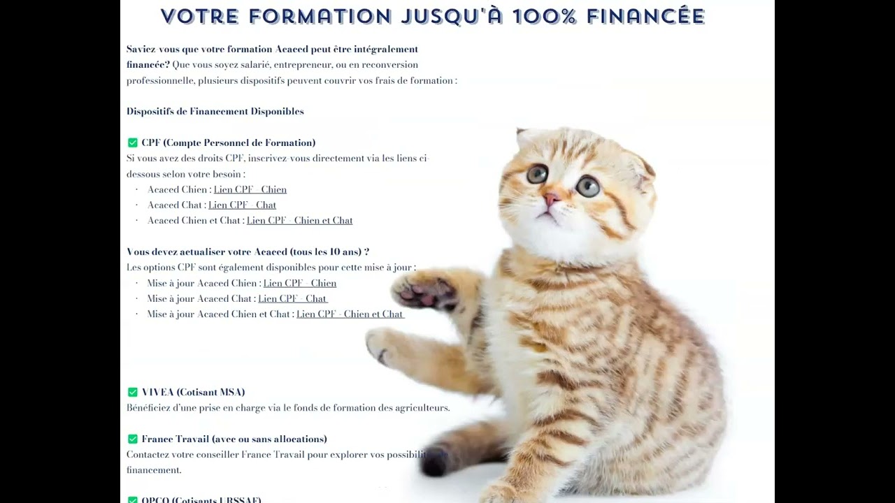REUSSISSEZ VOTRE ACACED FACILEMENT ET RAPIDEMENT AVEC ASBE FORMATIONS ! #acaced #chien #chat