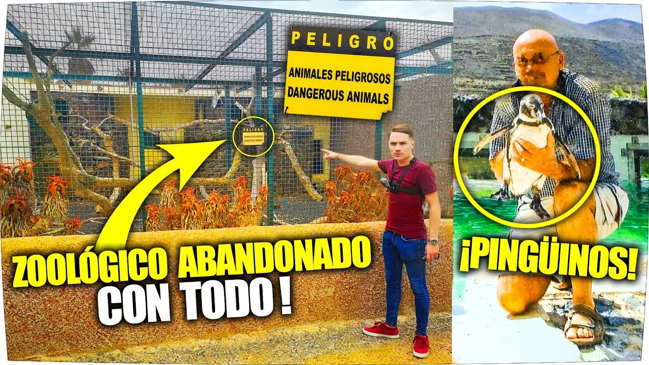 ZOOLOGICO ABANDONADO INTACTO 🐵⛔ ¡NO LO CREÍA! 🚷 - Exploracion Urbana Lugares Abandonados en España