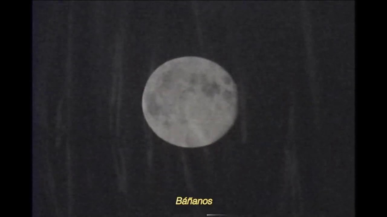 Leonora Post Punk - Luna (Lyric Video)