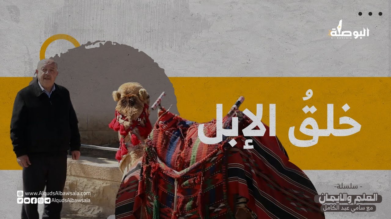 العلم والإيمان، معجزة خلق الإبل مع الأستاذ سامي عبد الكامل