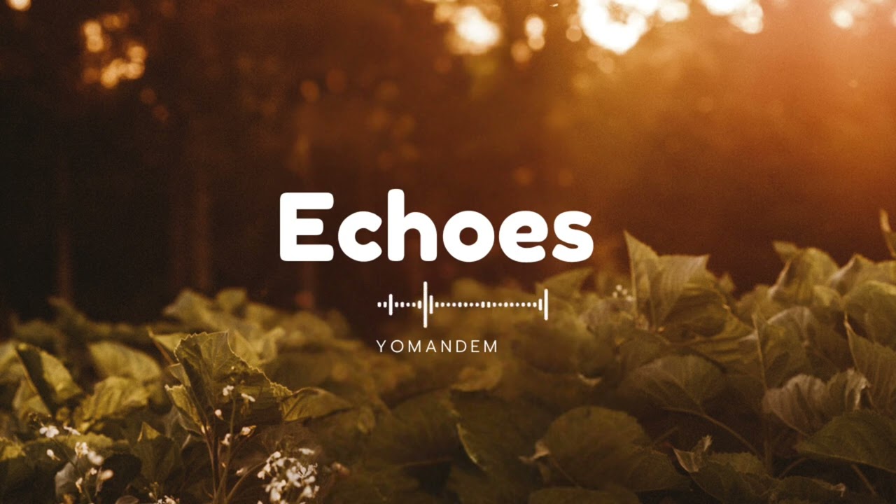 Rema x Ayra Starr Type Beat – Echoes  Afrobeat Instrumental