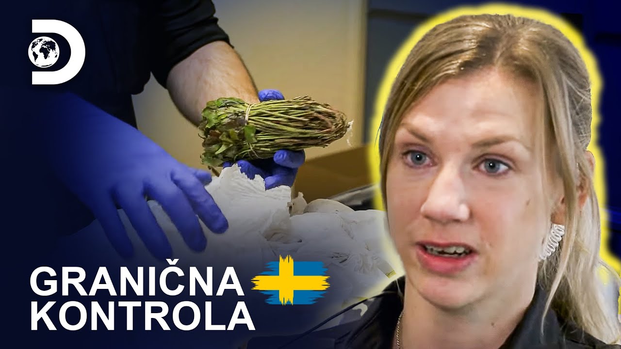 Pokušaj krijumčarenja 36 kg droge | Granična kontrola: Švedska