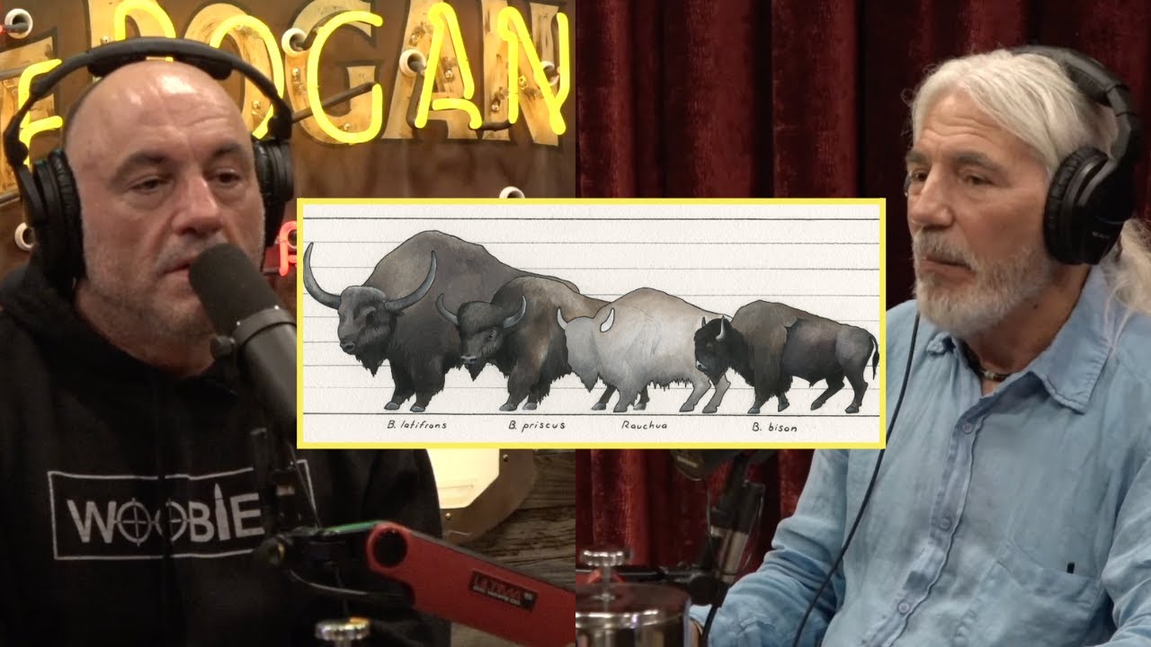 JRE: Modern Bison Are Dwarfs?!