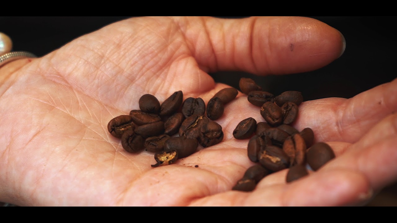 Film de présentation GRAINS DE CAFÉ - Châteauroux
