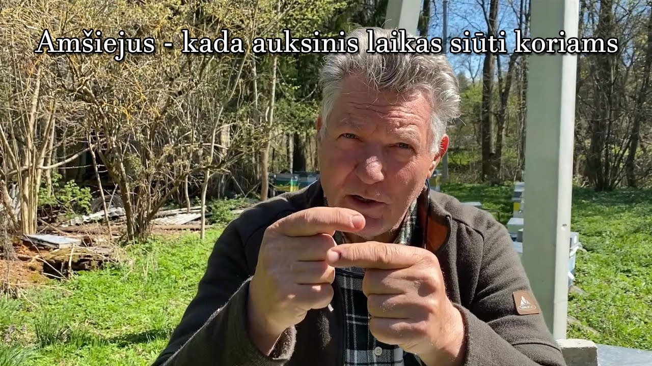 Algirdas Amešiejus - kada geriausias laikas siūti korius