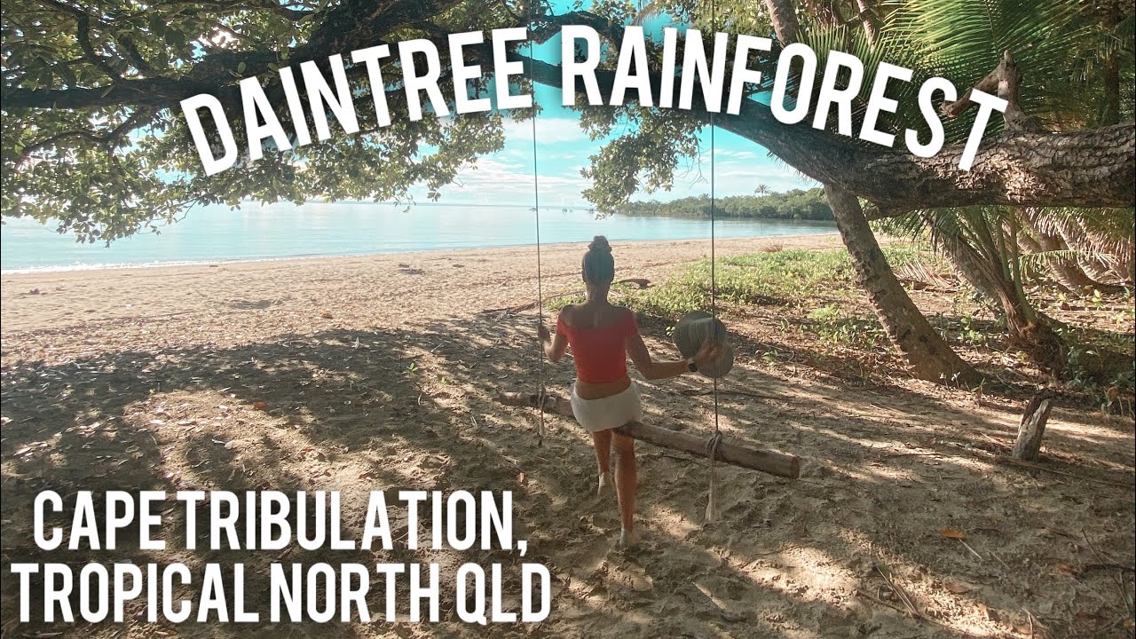 DAINTREE RAINFOREST | TROPICAL NORTH QUEENSLAND | CAPE TRIBULATION
